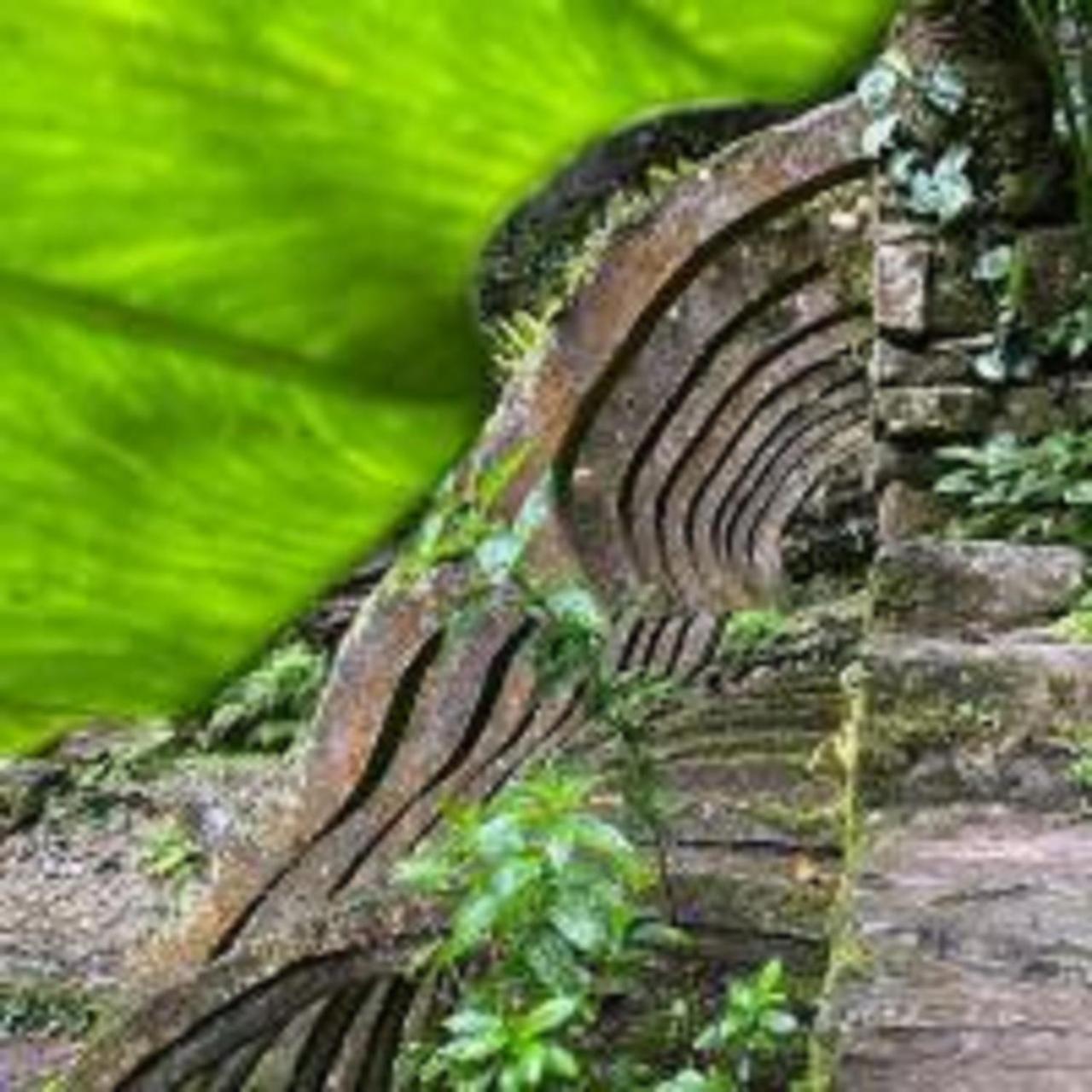 Grann Posada Xilitla Buitenkant foto